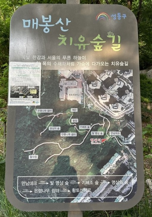 매봉산 치유 숲길