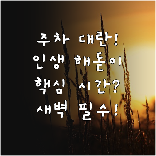 해돋이 관람 성공 위한 주차장 만차 ..