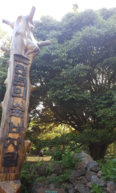 제주도 비 오는날 갈만한 곳 BEST 5곳