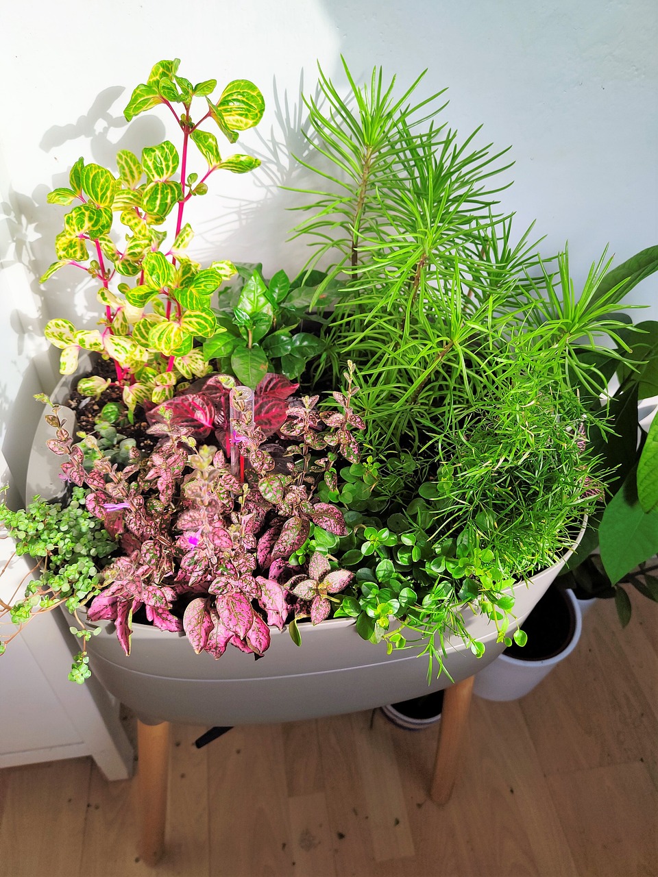 🌱 베란다 플랜테리어 아이디어 ❘ 작은 공간에 생명을 더하는 가장 예쁜 방법