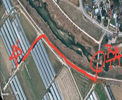 청춘베리팜