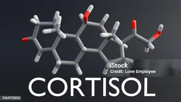 코르티솔 수치의 분석과 관리 전략