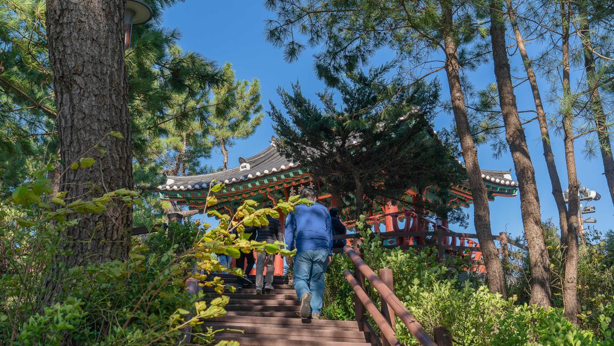 동해안 일출명소