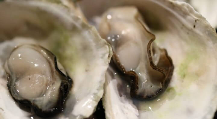 노로바이러스 굴