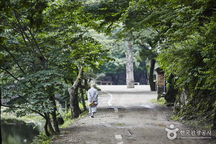 공주 가볼만한곳