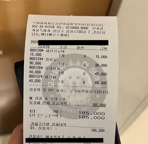 강아지 침, 레이저치료 진료비 영수증 사진