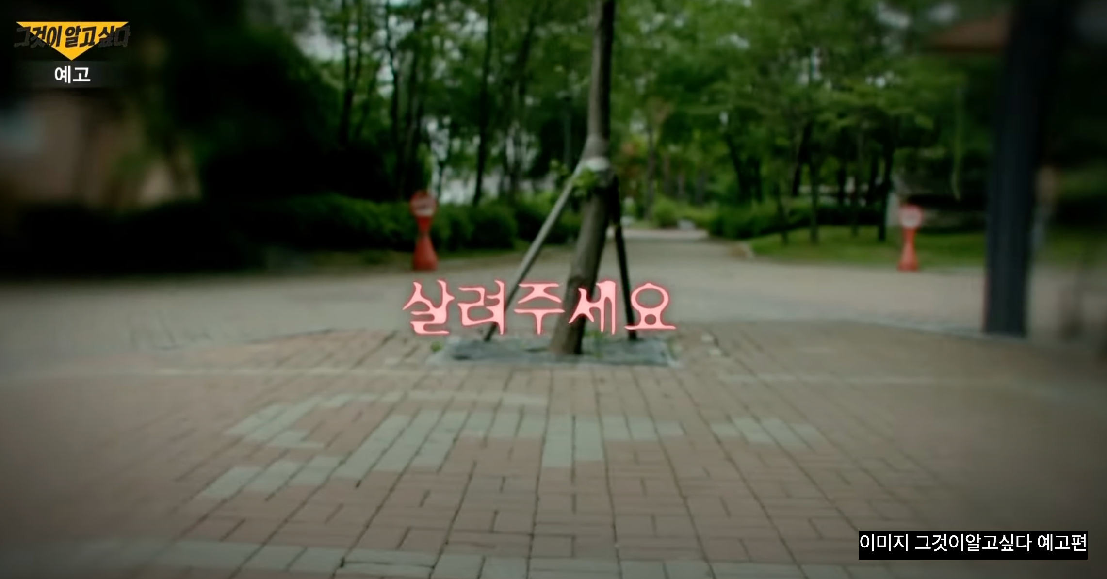 그것이알고싶다 동탄 김은진 사건 남친 경찰 무대응에 비극 논란