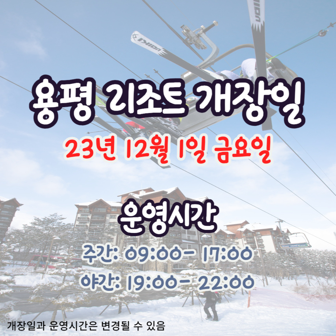 용평리조트-개장일