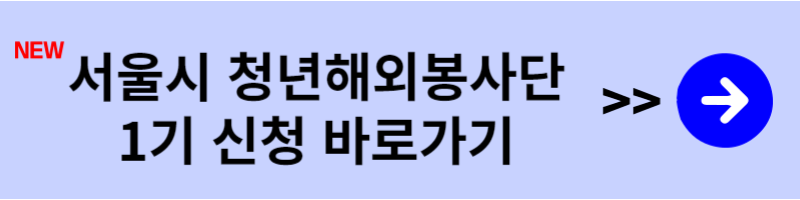 서울시 청년해외봉사단 신청
