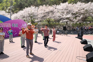 봄꽃,지역축제,여행
