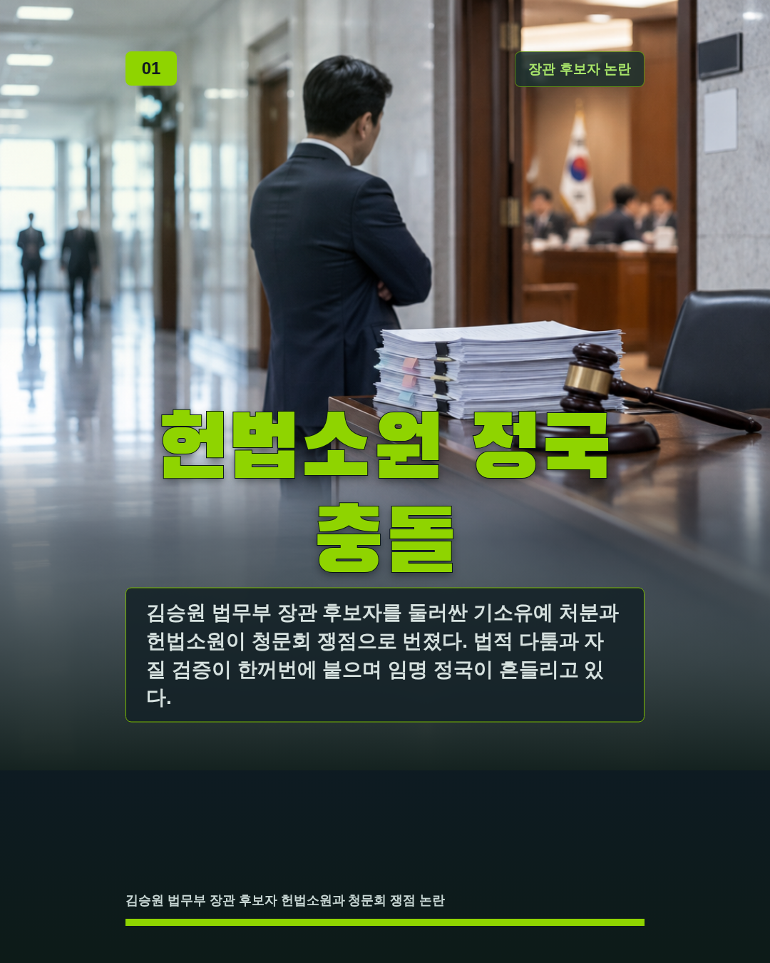 헌법소원 정국 충돌