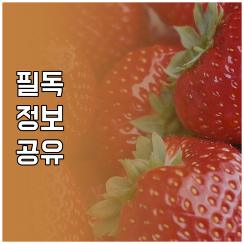 갱신만 했는데 보험료 차이 20%? ..