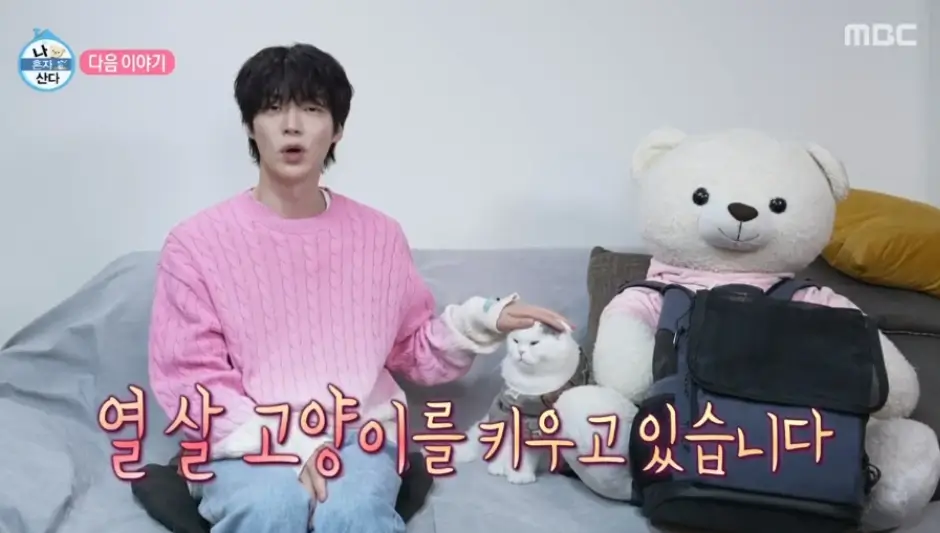 안재현 프로필 필모그라피 나이 드라마 MBTI 이혼 근황 인터뷰 나혼자산다