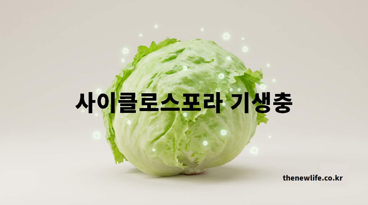 사이클로스포라 기생충 대표 사진