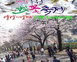 2024 충주호 벚꽃축제 기본정보 및 프로그램 소개