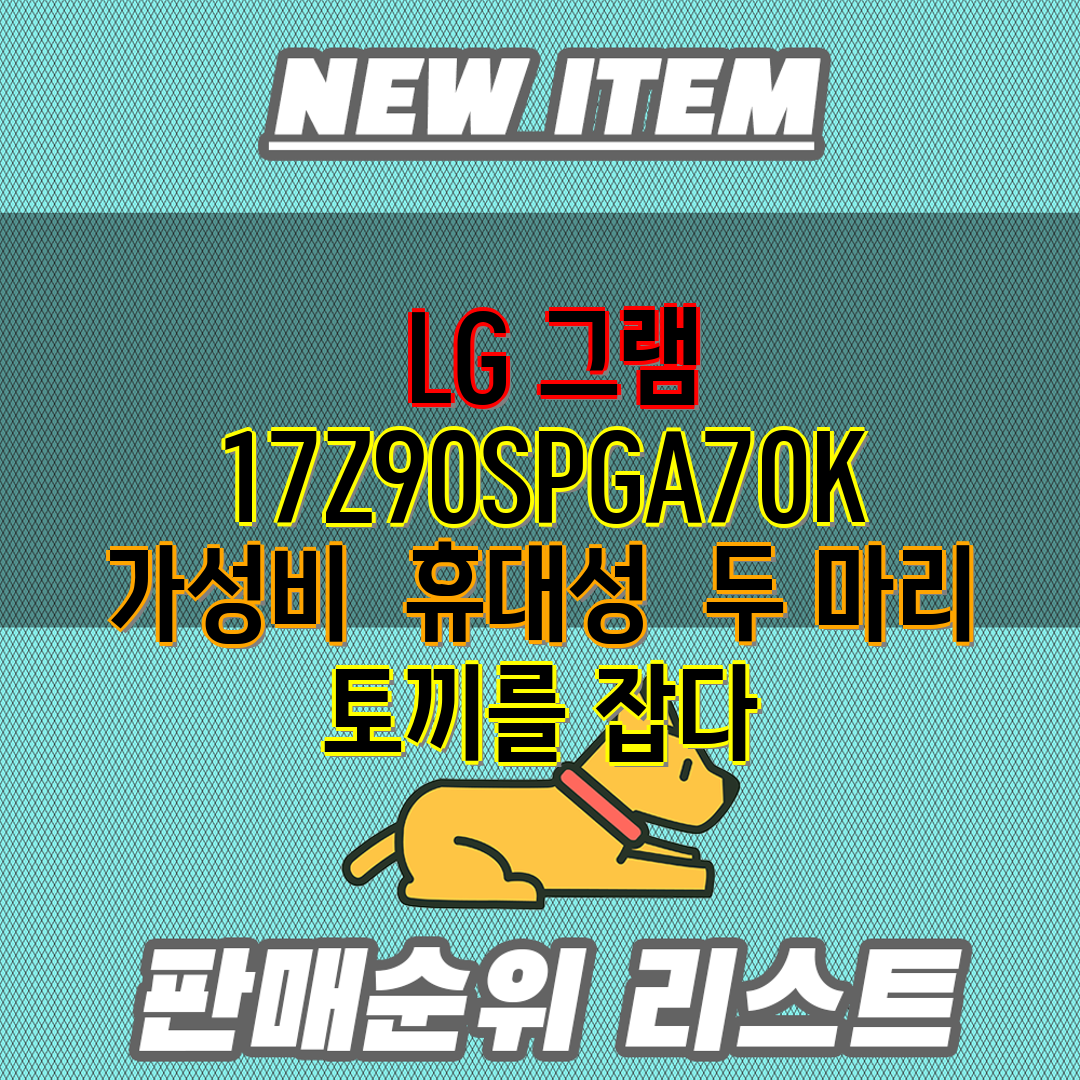  LG 그램 17Z90SPGA70K 가성비  휴대성  
