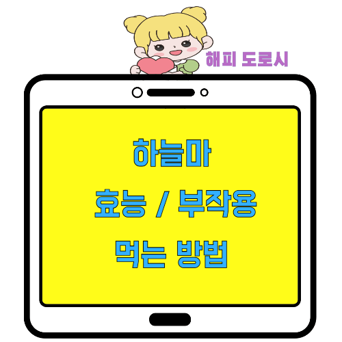 하늘마 효능 부작용 먹는 방법 알아보기