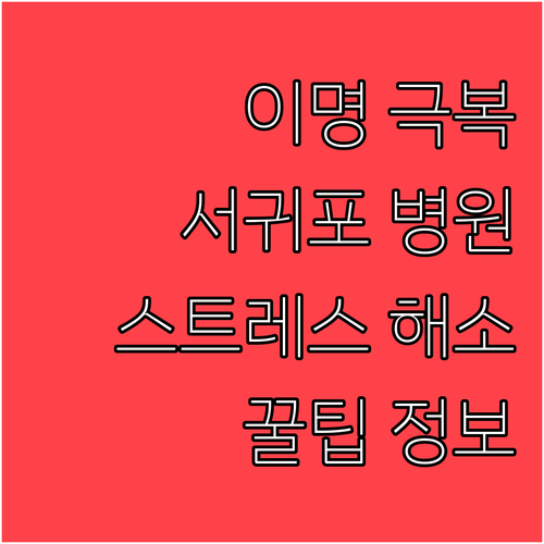 이명 극복: 서귀포시 병원 정보와 스