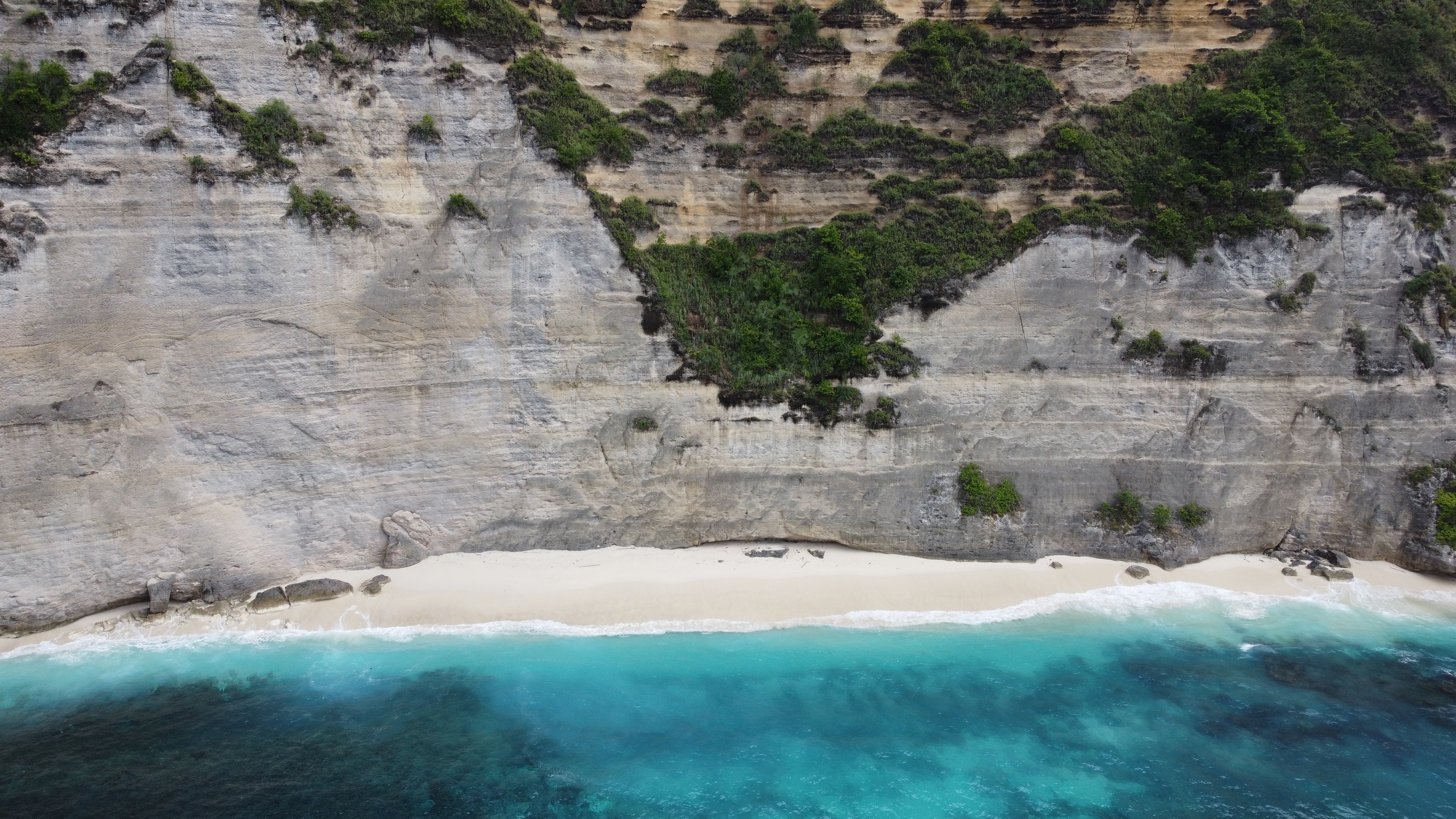 발리 입국 조건