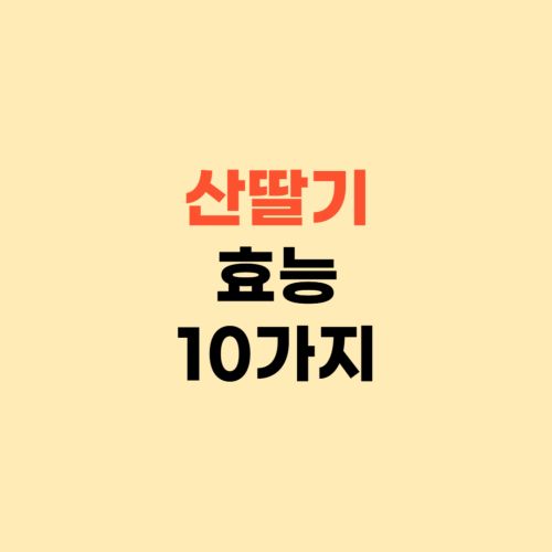 산딸기 효능 10가지 ❘ 이런 체질은 주의하세요