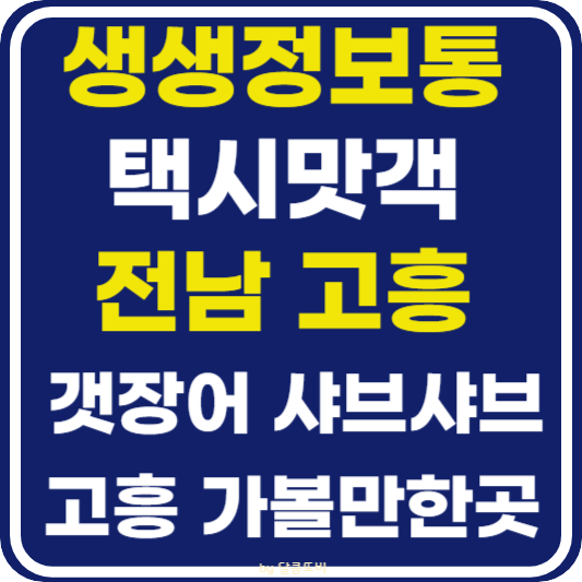 생생 정보통 맛집오늘방송