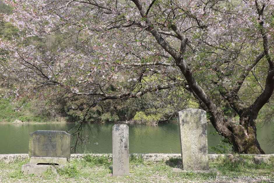 화순 가볼만한곳 베스트10