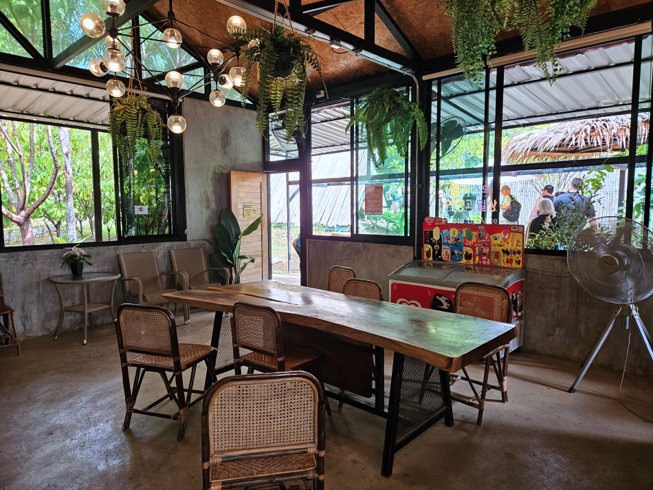 푸켓 가볼만한곳, 엘리펀트 정글 생츄어리 코끼리 샤워시키기 밥주기 후기