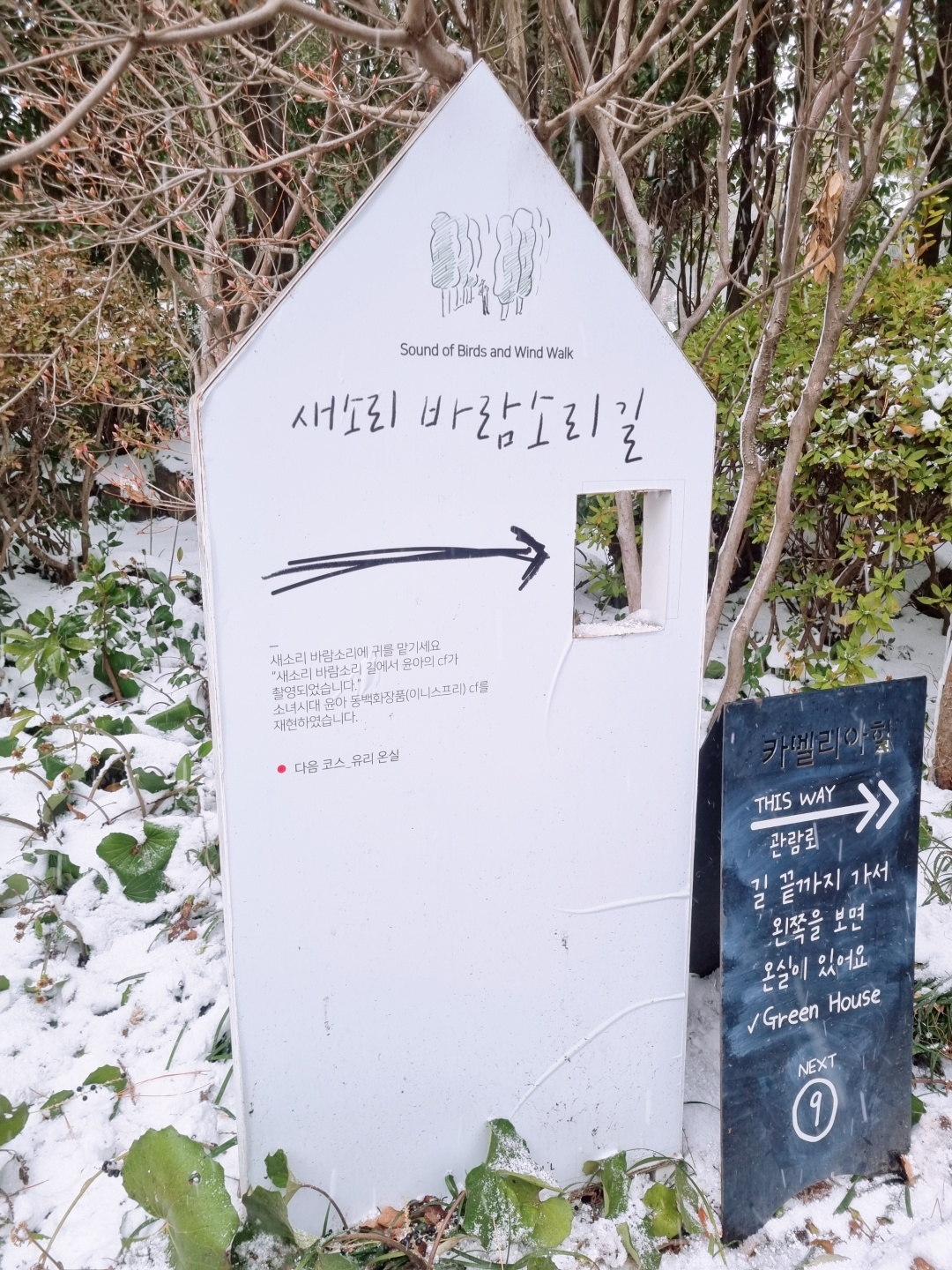 카멜리아힐