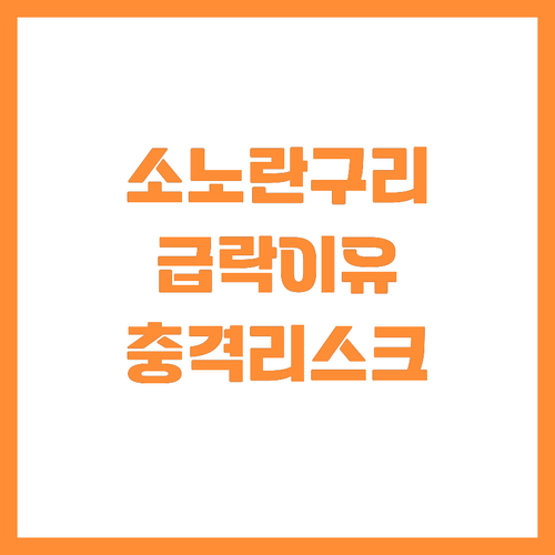 애리조나 소노란 구리 주가 하락 배경..