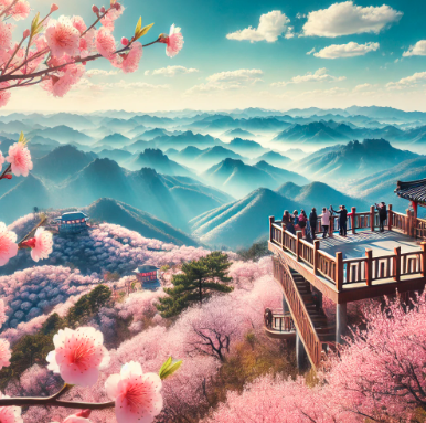 금산 보곡산골 산벚꽃 축제