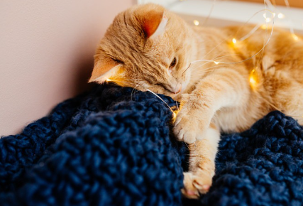 원인은 무엇인가?