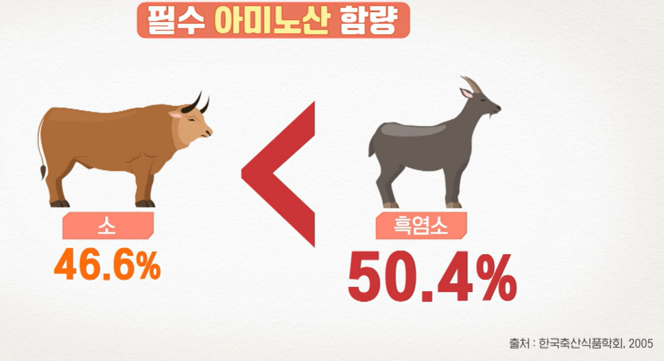 흑염소 진액 효능