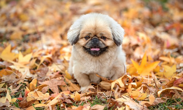 화담숲 화담채 예약 관련 이미지