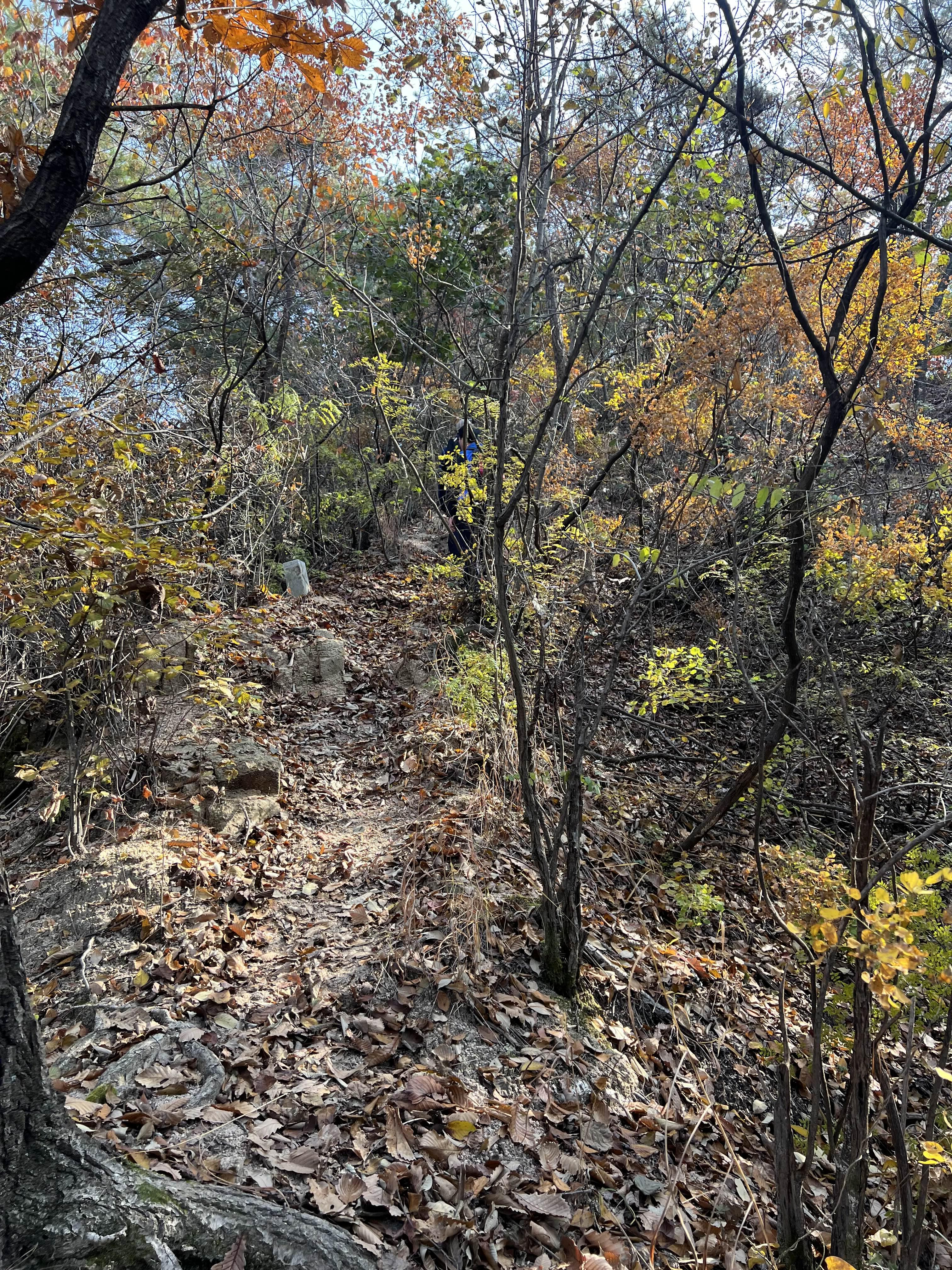 등산하다 길 잃음