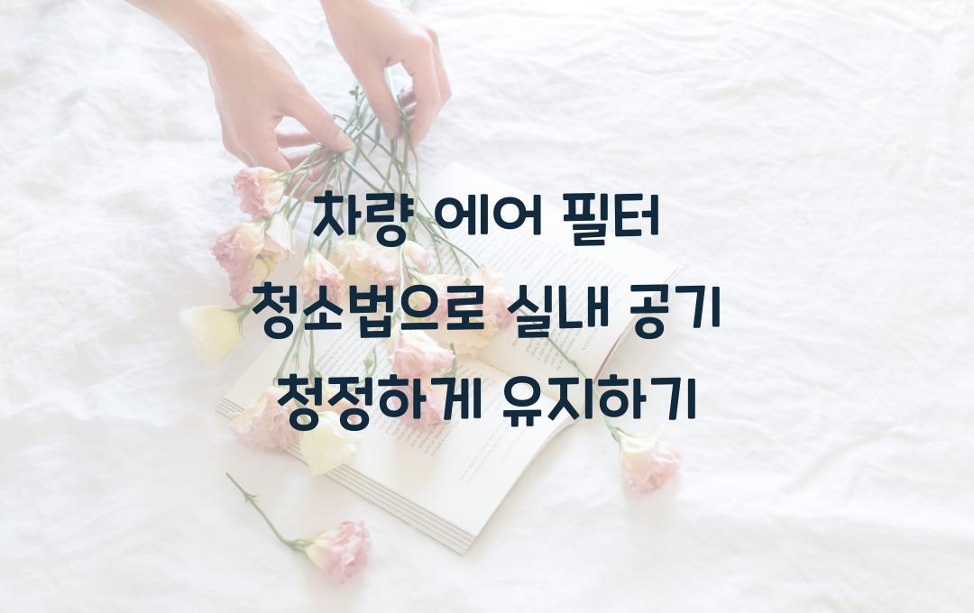 차량 에어 필터 청소법: 실내 공기 깨끗하게 유지하는 방법