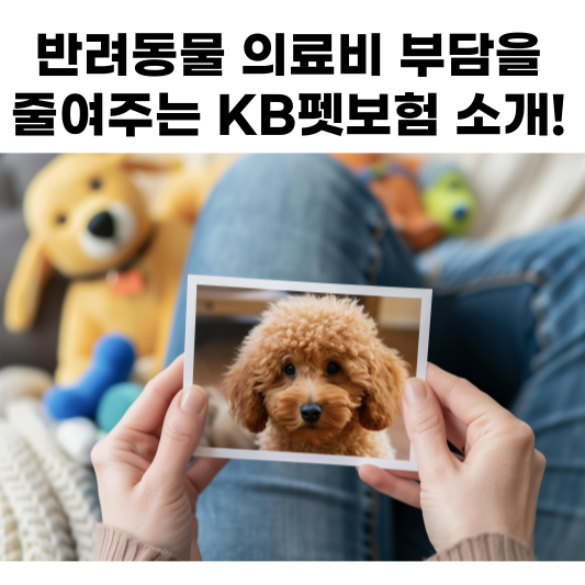 펫 보험