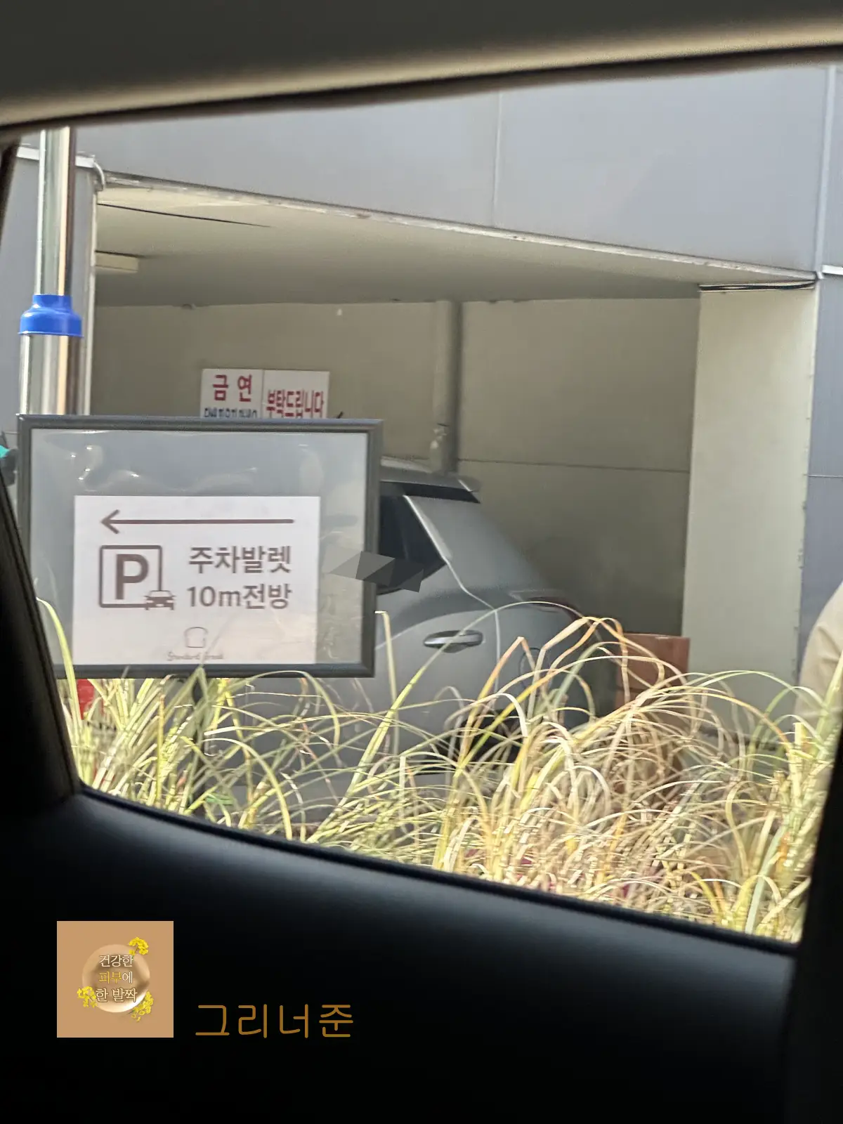 스탠다드-브레드-도산점-발렛부스-10m-앞-표지판
