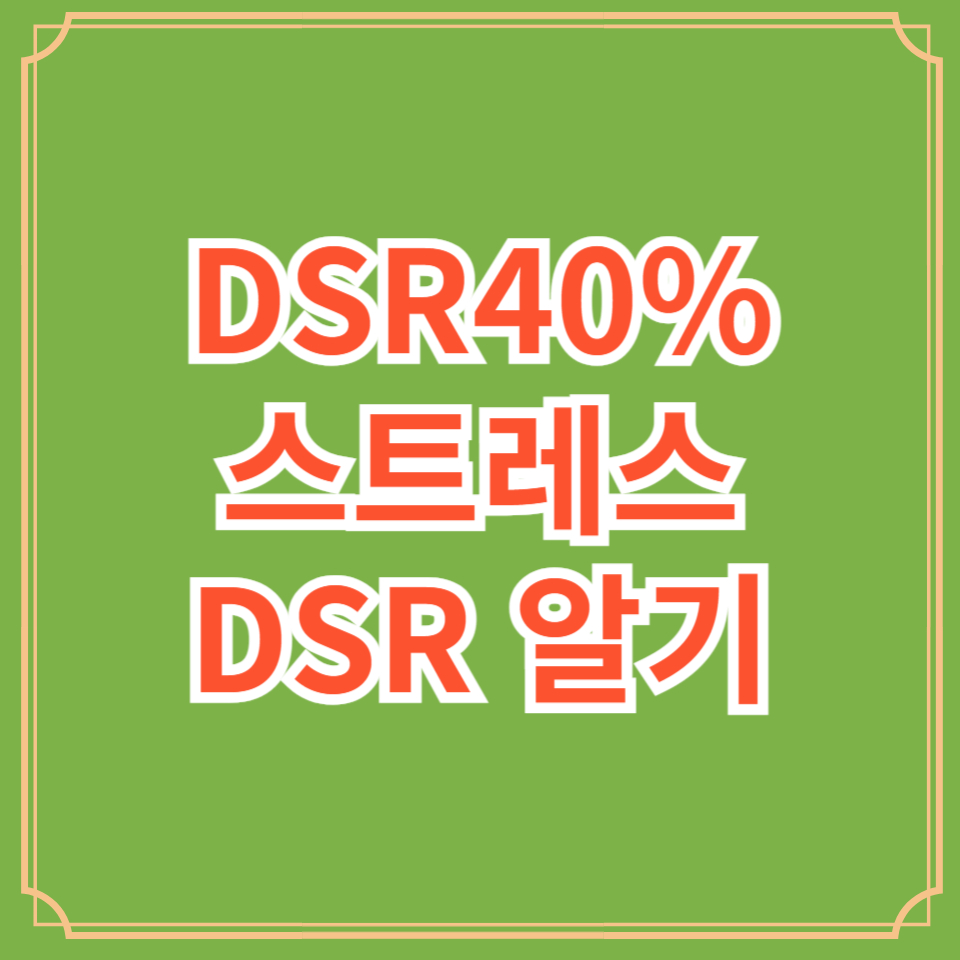 스트레스DSR