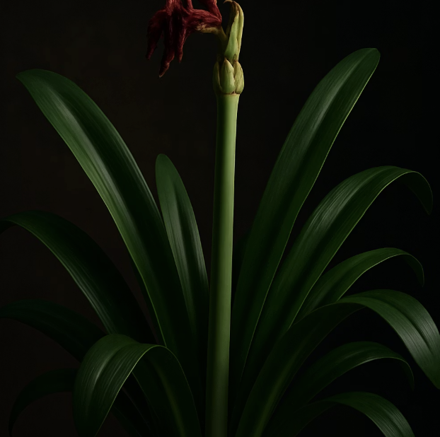 축제가 끝난 후&amp;#44; 내년을 기약하는 법