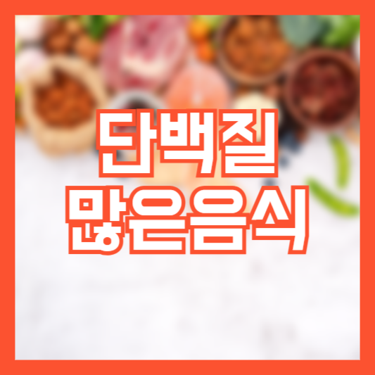 단백질 많은 음식 5가지 추천!