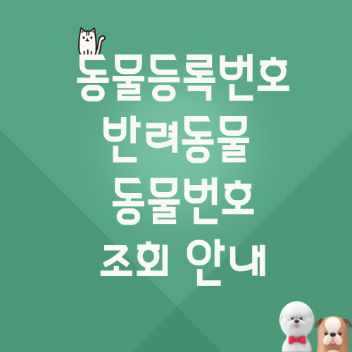 동물등록번호 조회