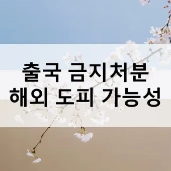 출국금지 여부 조회 법무부 출입국 관리 방법_16