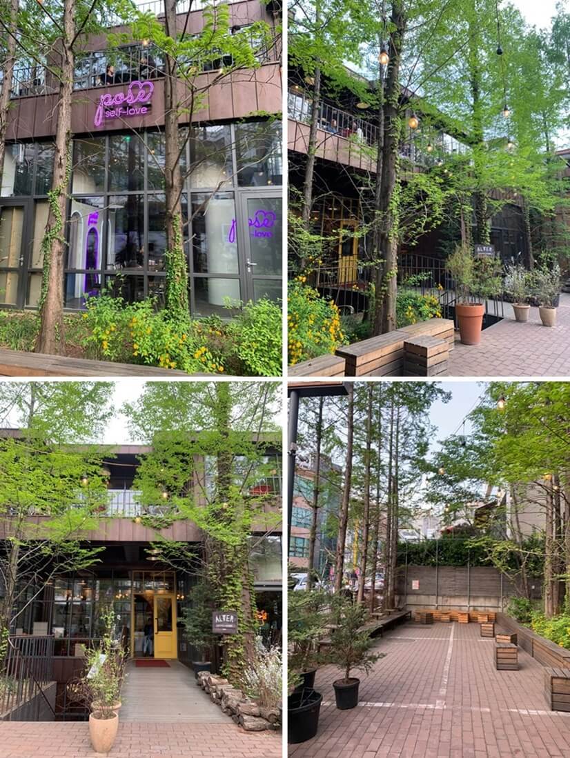 나무와 어울러져있는 카페