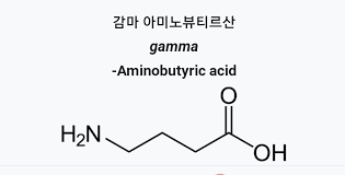 자나팜정 주성분 감마아미노뷰티릭애씨드(GABA)