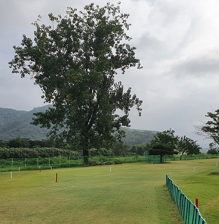 경주시 구황동 알천파크골프장 소개