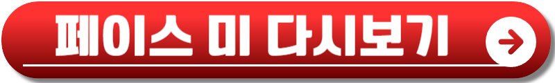 페이스미