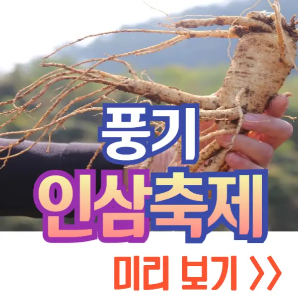 풍기 인삼축제