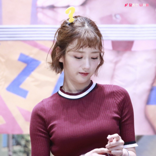 에이핑크 보미 사진