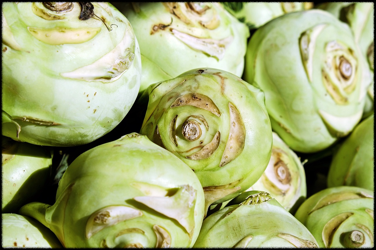 콜라비관련이미지14