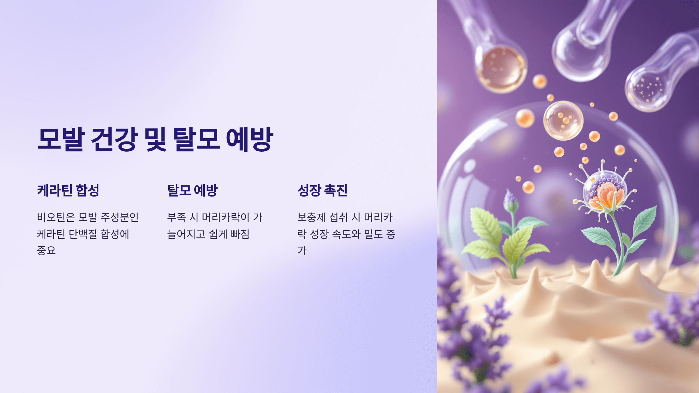 비오틴과 관련된 사진입니다.